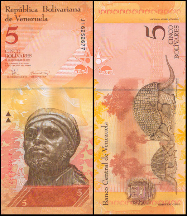 Venezuela 5 Bolívares - Banco Central de Venezuela 89c 2008