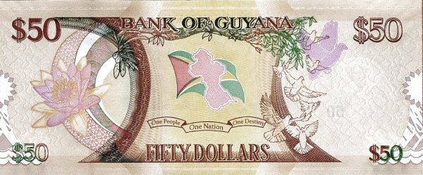 Guyana 50 Dollars Bank of Guyana | UNC - Image 2