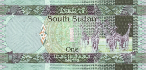 South Sudan 1 South Sudanese Pound Banknote | UNC - Image 2