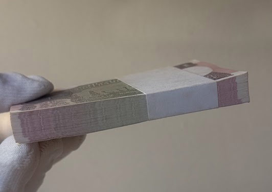 India, 2017 Rupee 1 Complete Serial Bundle of 100 Notes, 19C 033801 to 19C 033900 , Sign. by Saktikanta Das, Inset L - Image 7